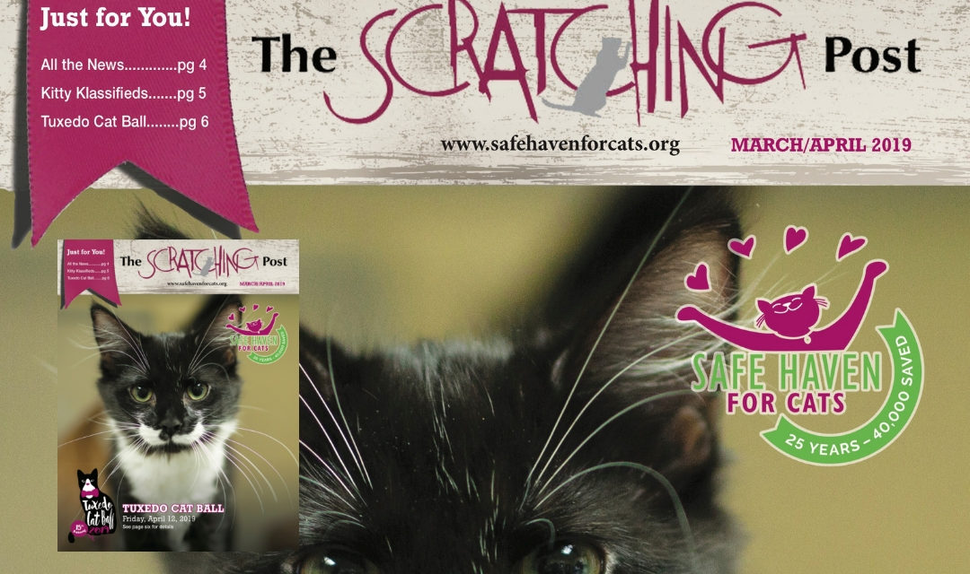 Scratching Post Cover March/April 2019