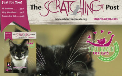 The Scratching Post: March/April 2019