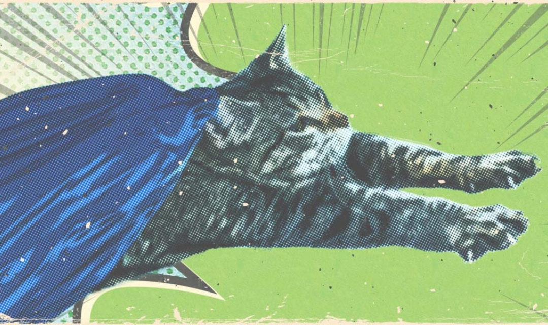 Comic Style Image of Cat in Cape