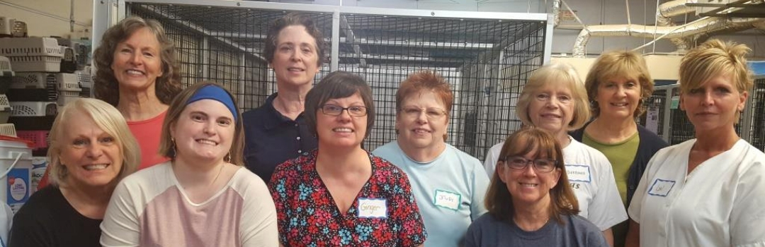 Group Of Volunteers Standing For Group Photo