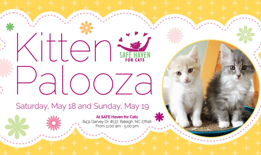 Image of Two Kittens With Text Reading Kitten Palooza - Saturday May 18 and Sunday May 19