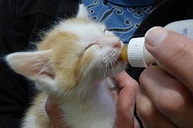 McAlister drinking milk from a bottle