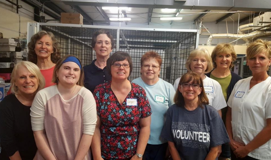 Nine People Standing For Picture In The Shelter - All Of Them Volunteer With SAFE Haven On Thursdays.