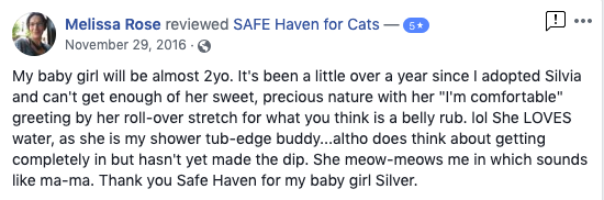 Facebook Review from Melissa Rose: My baby girl will be almost 2 years old. It's been a little over a year since I adopted Silvia and can't get enough of her sweet, previous nature with her 