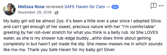 Facebook Review from Melissa Rose: My baby girl will be almost 2 years old. It's been a little over a year since I adopted Silvia and can't get enough of her sweet, previous nature with her