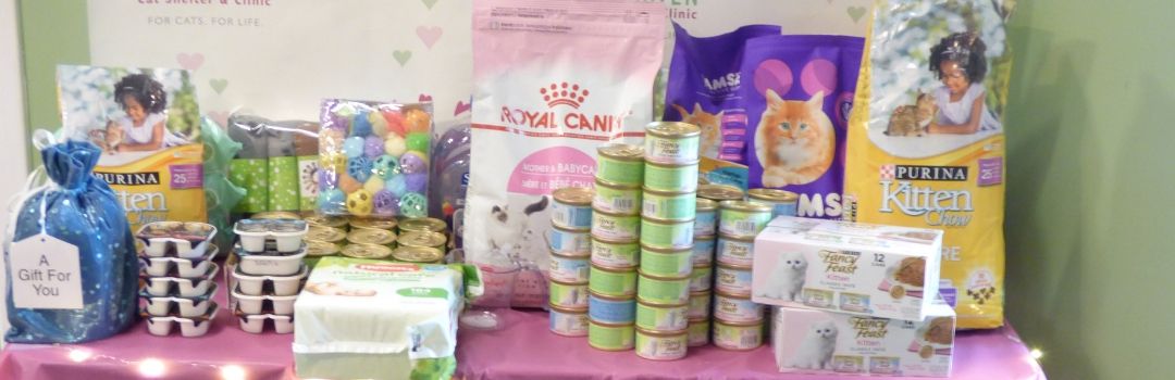 Picture of Supplies Donated During the 2019 Kitten Shower Including Cat Food and Toys