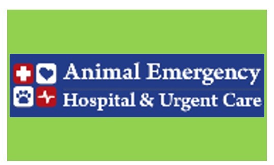 2019 Catsino Royale Dealers Choice Sponsor Animal Emergency Hospital and Urgent Care