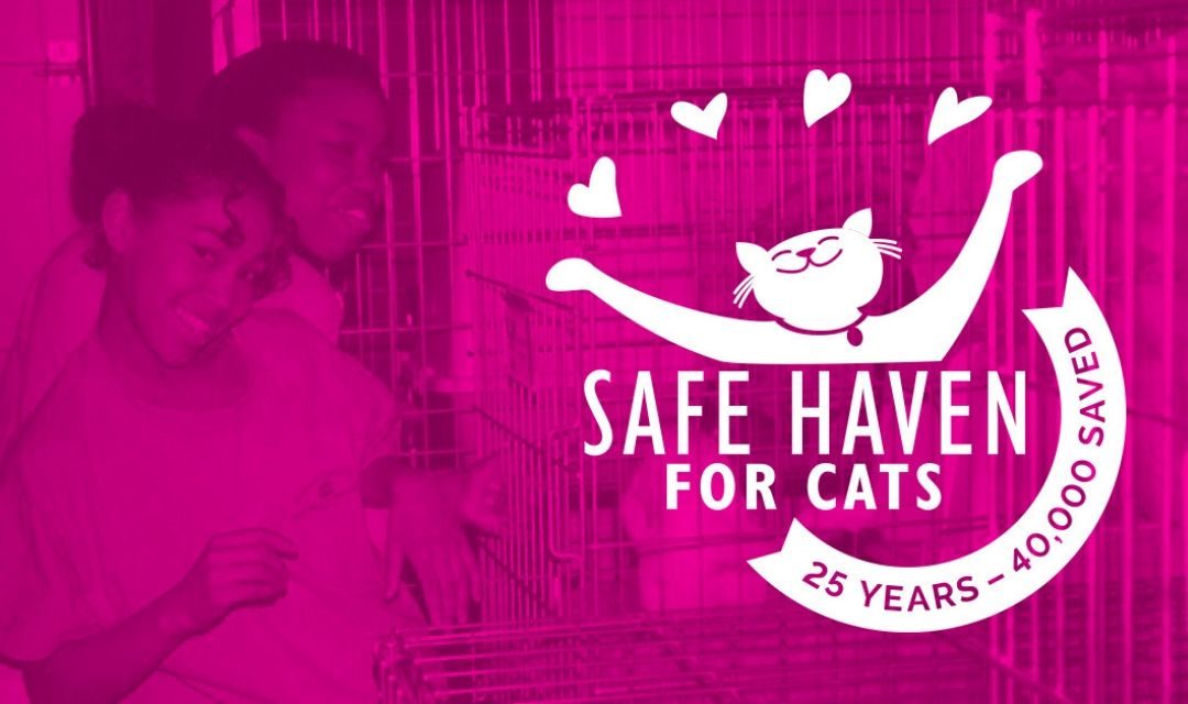 Pink Banner With 25th Anniversary Logo And Two Girls Cleaning Cages In The Background