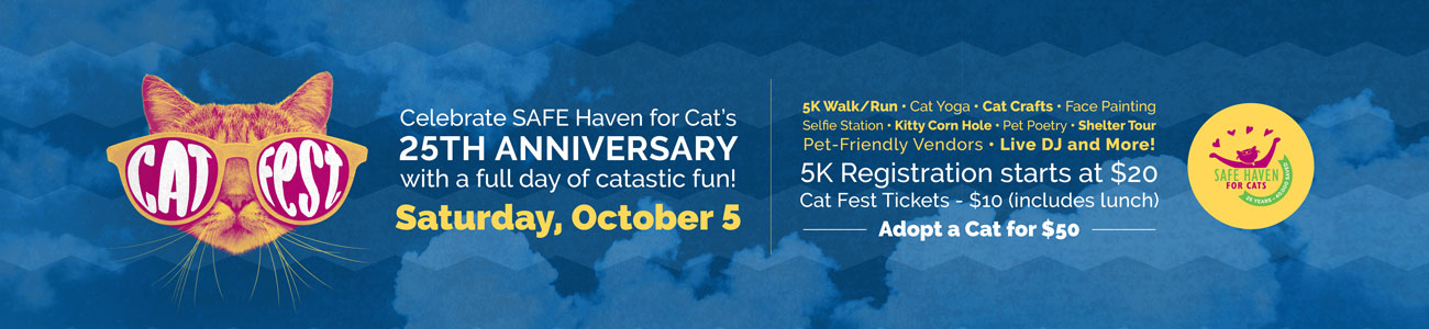 Cat Fest page banner