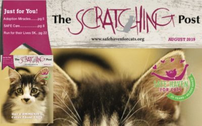 The Scratching Post: August 2019