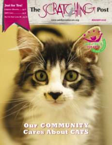 Cover of August Scratching Post