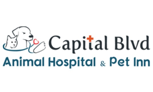 2019 Cat Fest 5k Catnip Mouse Sponsor Capital Blvd Animal Hospital and Pet Inn