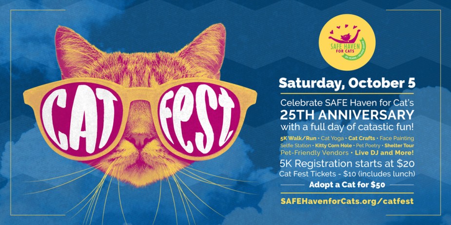 Cat Fest Social blue