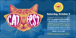 Cat Fest Social blue icon