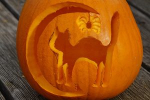 Pumpkin carved with cat, moon and spider