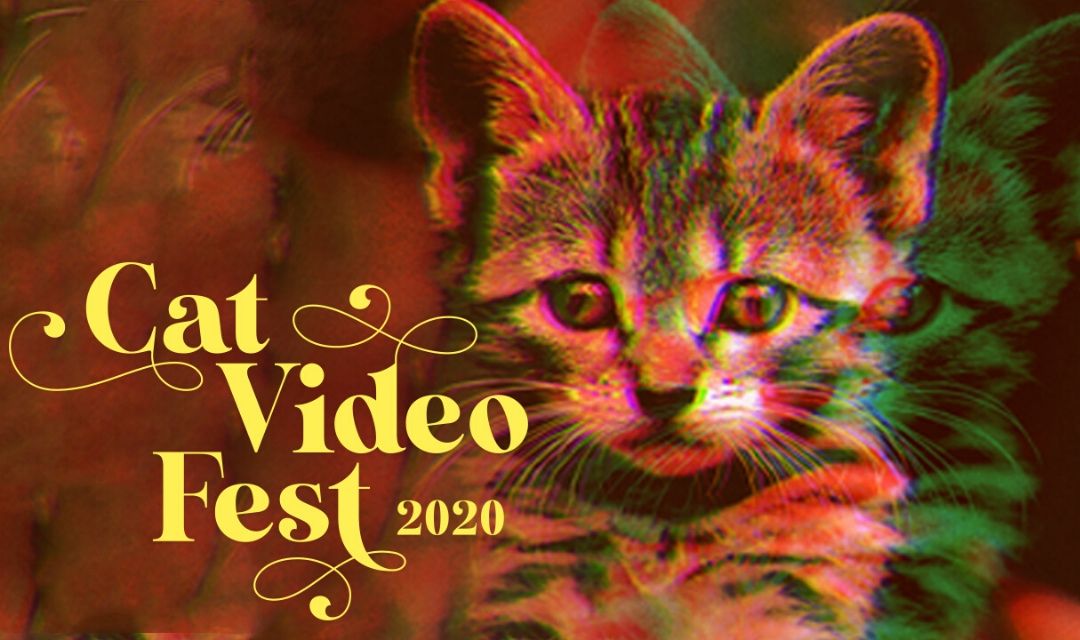 Banner for CatVideoFest