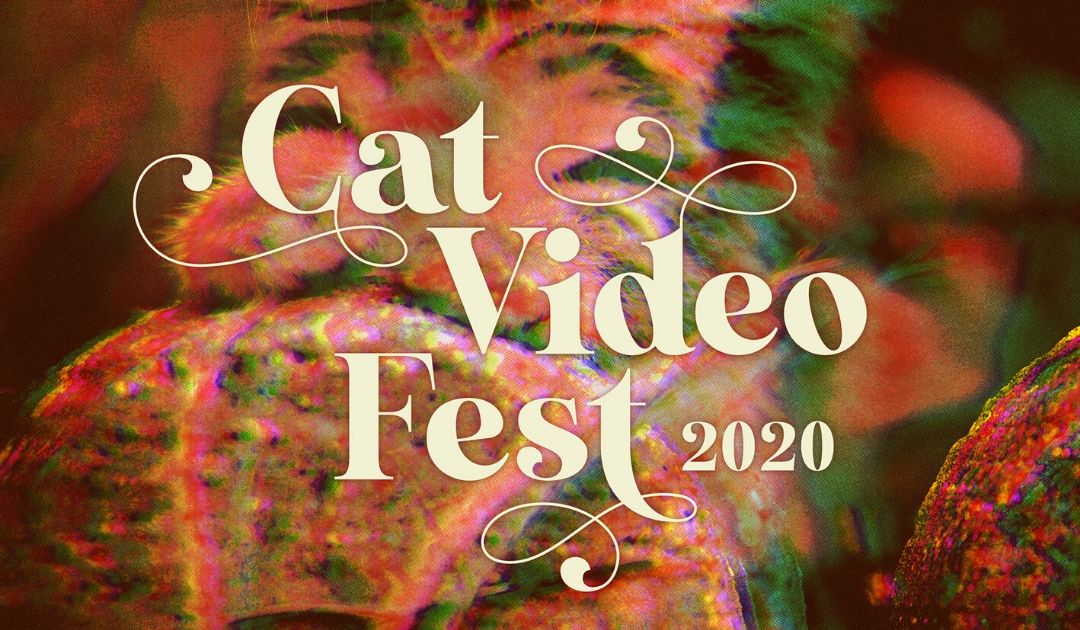 Text Reads Cat Video Fest 2020