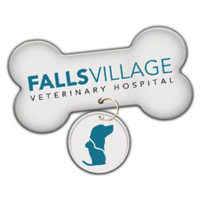 2020 Tuxedo Cat Ball Sponsor Falls Village Veterinary Hospital