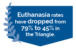 Euthanasia rates have dropped