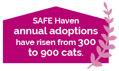 SAFE Haven annual adoptions have risen!