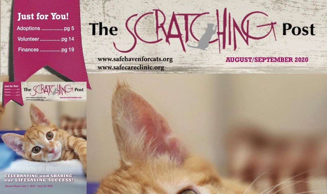 The Scratching Post: September 2020
