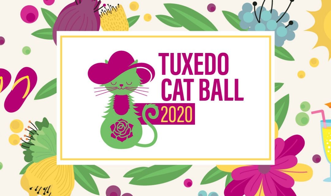 Help Us Keep Saving Cats!