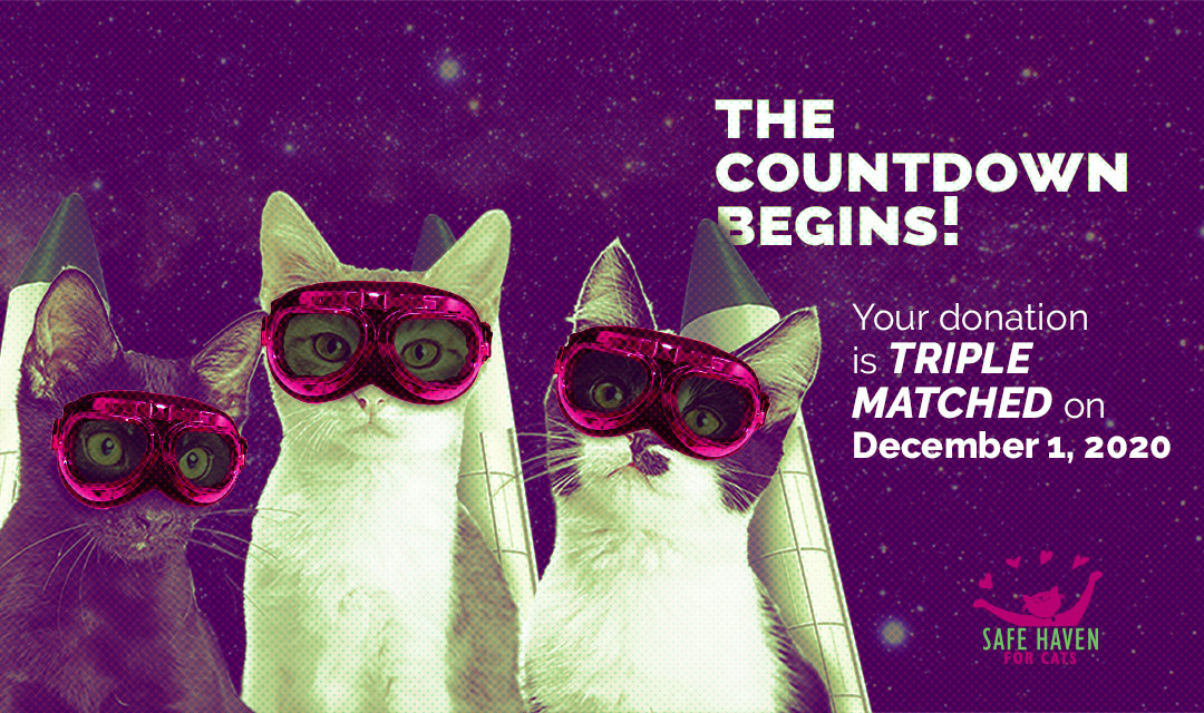 Save the Date for TRIPLE the Impact!