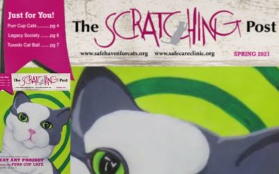 The Scratching Post: March 2021