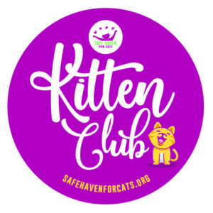 Kitten Club Sticker