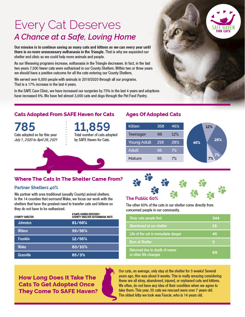 SAFE Haven for Cats - Impact Statement - 2019-2020 - Your Donations Make an Impact