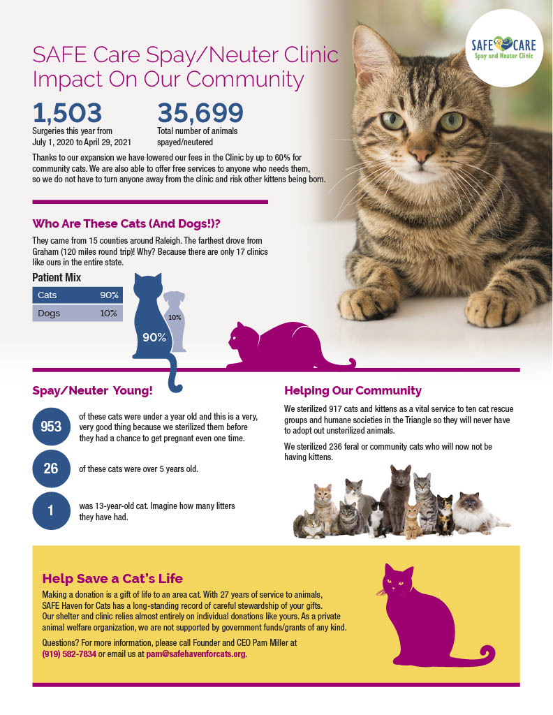 SAFE Haven for Cats - Impact Statement - 2019-2020 - Your Donations Make an Impact