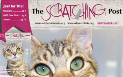 The Scratching Post: September 2021