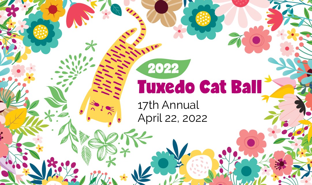 2022 Tuxedo Cat Ball