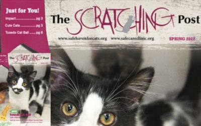 The Scratching Post: April 2022