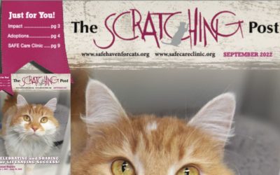 The Scratching Post: September 2022
