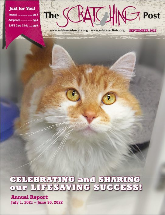 Scratching Post Cover - September 2022