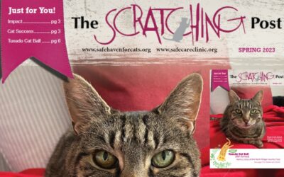 The Scratching Post: Spring 2023