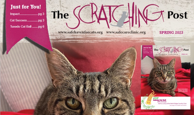 The Scratching Post: Spring 2023