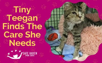 Tiny Teegan Finds The Care She Needs