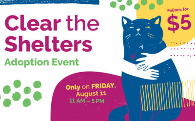 What to Expect at Clear the Shelters