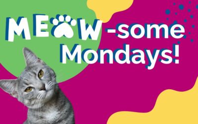 Meow-some Mondays