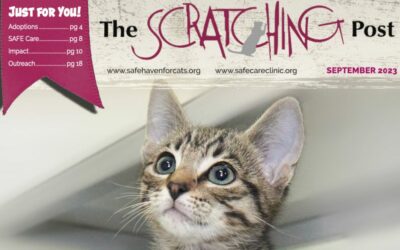 The Scratching Post: Fall 2023