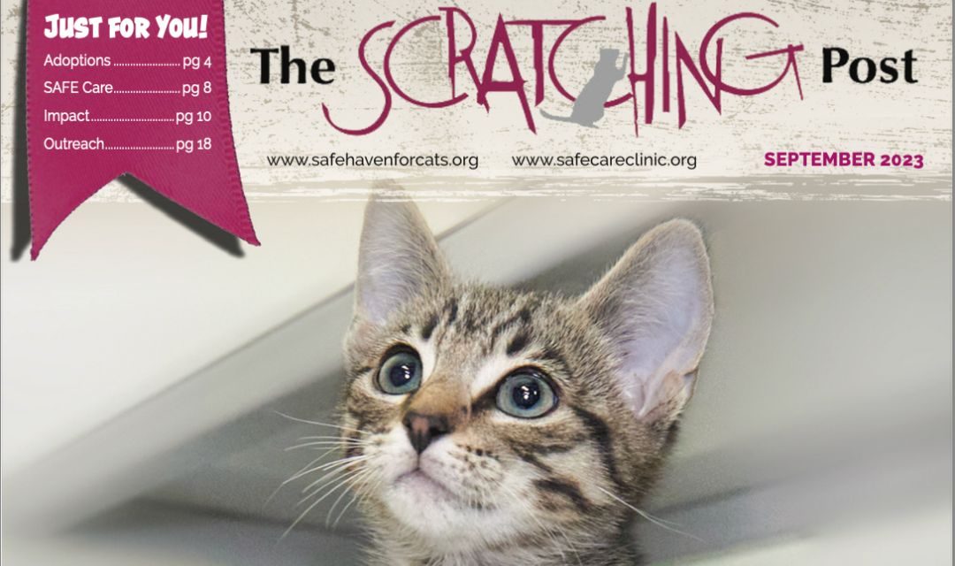The Scratching Post: Fall 2023