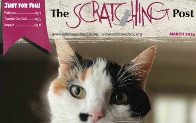 The Scratching Post: Spring 2024