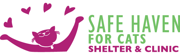 SAFE Haven for Cats