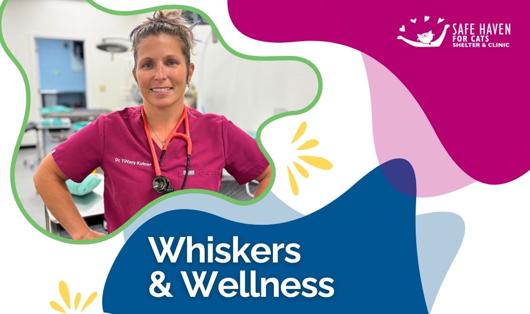 Step into the Operating Room: Win a Behind-the-Scenes Experience with Dr. Kutner and the SAFE Care Team!