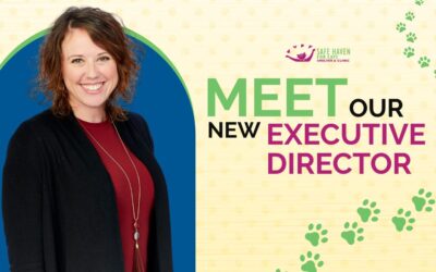 SAFE Haven for Cats Welcomes Annie Schmidt as Executive Director