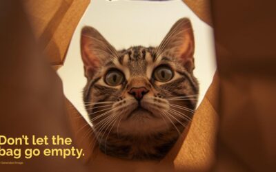 Help Fill the Bag, Feed the Love