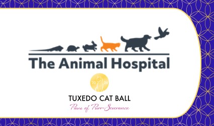 TCB 2026 Advocates Sponsor The Animal Hospital TCB 2026 Advocates Sponsor The Animal Hospital