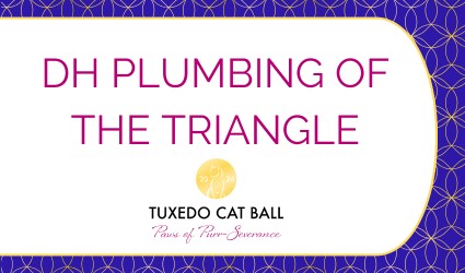 TCB 2026 Patron Sponsor DH Plumbing of the Triangle TCB 2026 Patron Sponsor DH Plumbing of the Triangle